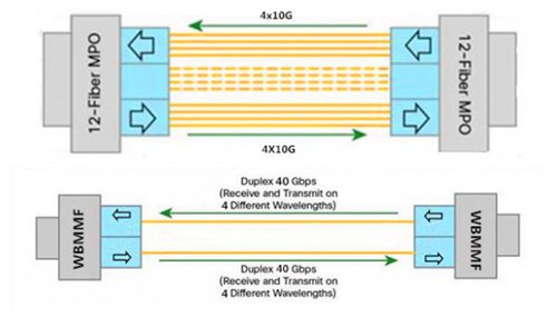 WBMMF-VS-12-Fiber-MPO