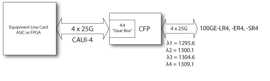 Caui4-CFP