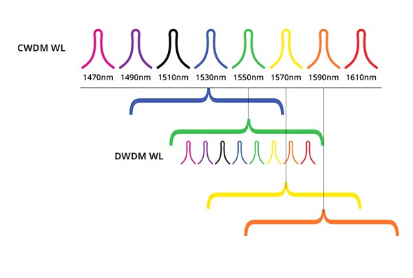 Discussion on 40G to 100G WDM Network Upgrading